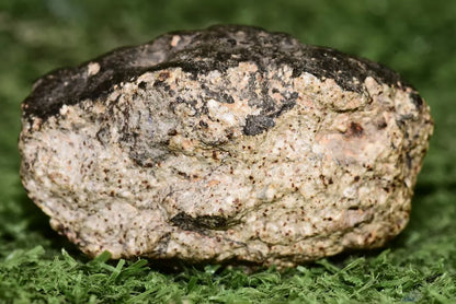 Meteorite Eucrite Brecciated NWA 14410 fragment 96 g - MeteoriteNwa.com