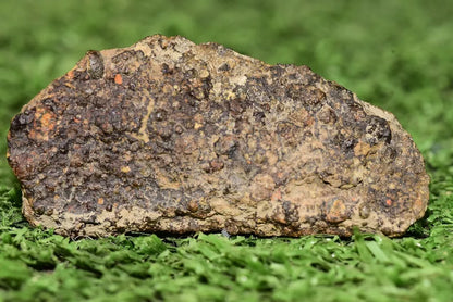Meteorite CV3 Carbonaceous Chondrite NWA 14004 Endcut 12.85 G - MeteoriteNwa.com
