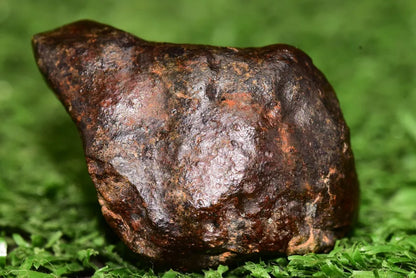 Meteorite chondrite L4 Nwa 14229 Dark brownish fragment w minor fusion crust 20g - MeteoriteNwa.com