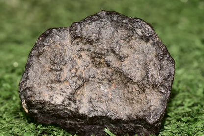 Meteorite chondrite Ordinary H4 NWA 14003 Complete fragment - 52.5g - MeteoriteNwa.com