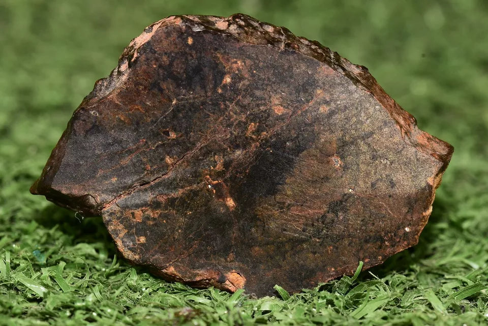 Meteorite Ungrouped achondrite NWA 13272 poikilitic igneous texture 18.67g Slice - MeteoriteNwa.com