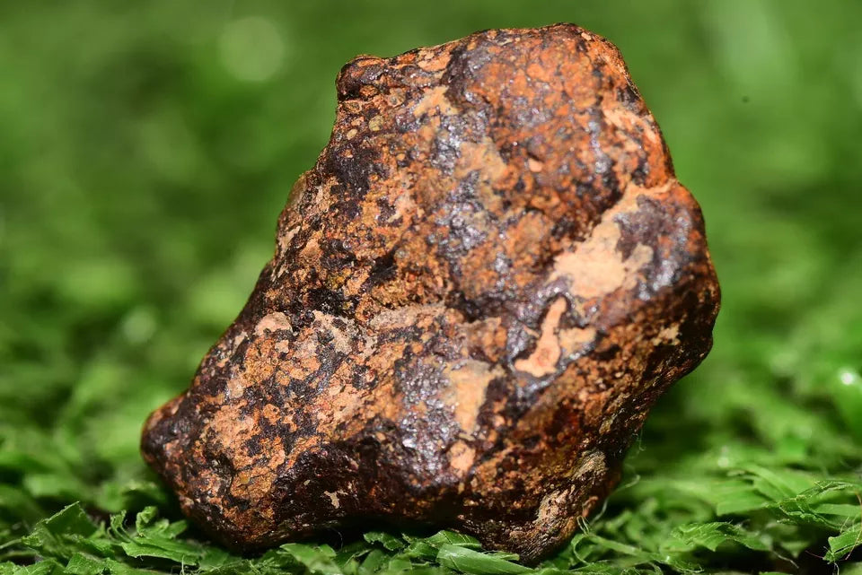 Meteorite NWA 14869 HED achondrite diogenite melt breccia 2.60 g - MeteoriteNwa.com