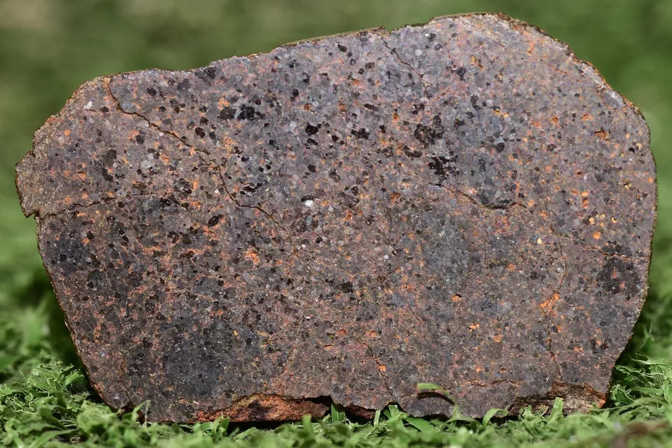 ULTRA RARE Meteorite Brachinite Achondrite NWA 11756 Slice 12.3 g - MeteoriteNwa.com