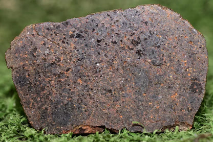 ULTRA RARE Meteorite Brachinite Achondrite NWA 11756 Slice 12.3 g - MeteoriteNwa.com