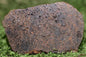 ULTRA RARE Meteorite Brachinite Achondrite NWA 11756 Slice 12.3 g - MeteoriteNwa.com