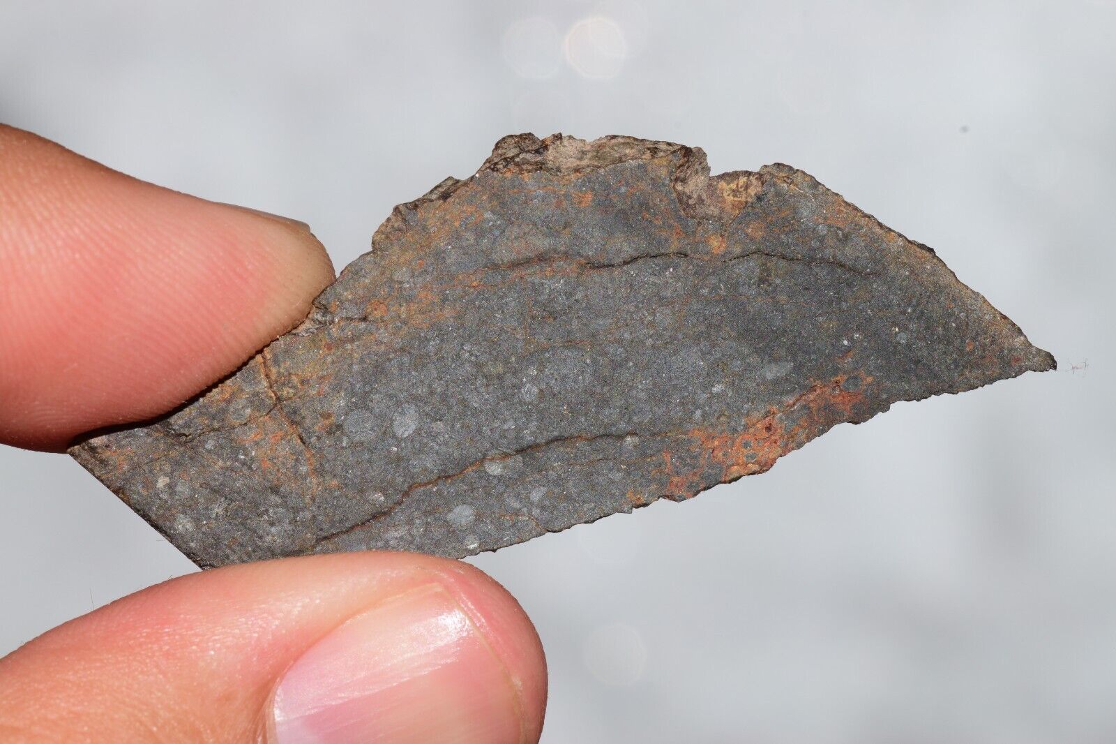 Meteorite Chondrite LL3 NWA 14224 Slice 6.81G with fine-grained dark gray matrix - MeteoriteNwa.com