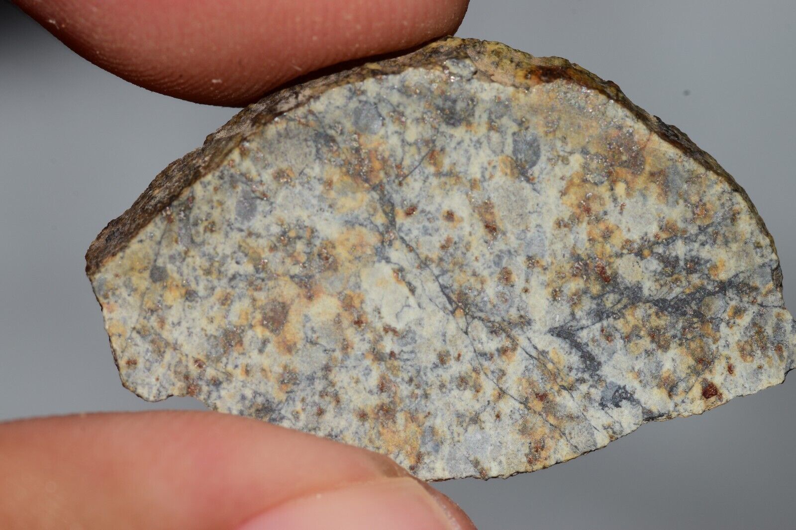 Meteorite Chondrite LL6 NWA 14225 Slice 3.51G with black shock melt veins. W COA - MeteoriteNwa.com
