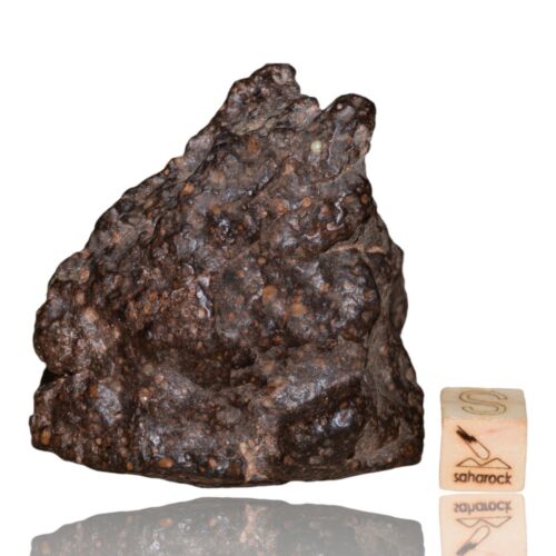 Meteorite CR2 Carbonaceous chondrite Rare NWA 14870 main mass 111.4 G Fragment! - MeteoriteNwa.com
