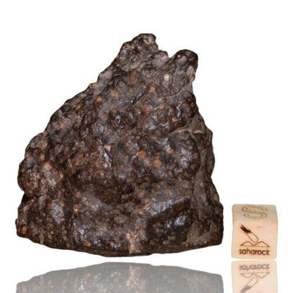 Meteorite CR2 Carbonaceous chondrite Rare NWA 14870 main mass 111.4 G Fragment! - MeteoriteNwa.com