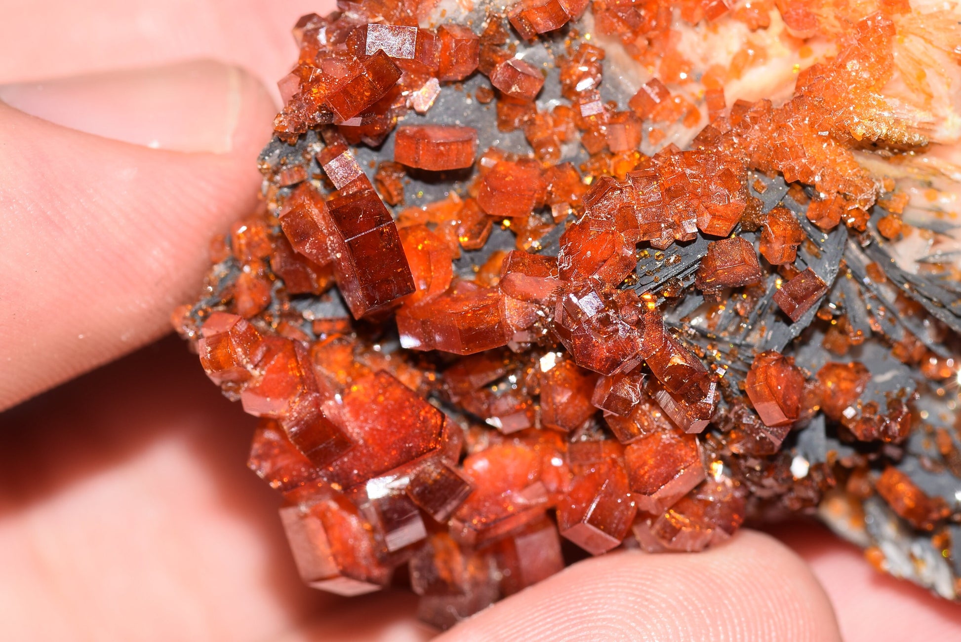 Vanadinite Mineral on Matrix Red Orange Genuine Crystals from Morocco Raw Druzy Natural Specimen Earth Chakra Grounding Gemstone - MeteoriteNwa.com