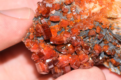 Vanadinite Mineral on Matrix Red Orange Genuine Crystals from Morocco Raw Druzy Natural Specimen Earth Chakra Grounding Gemstone - MeteoriteNwa.com
