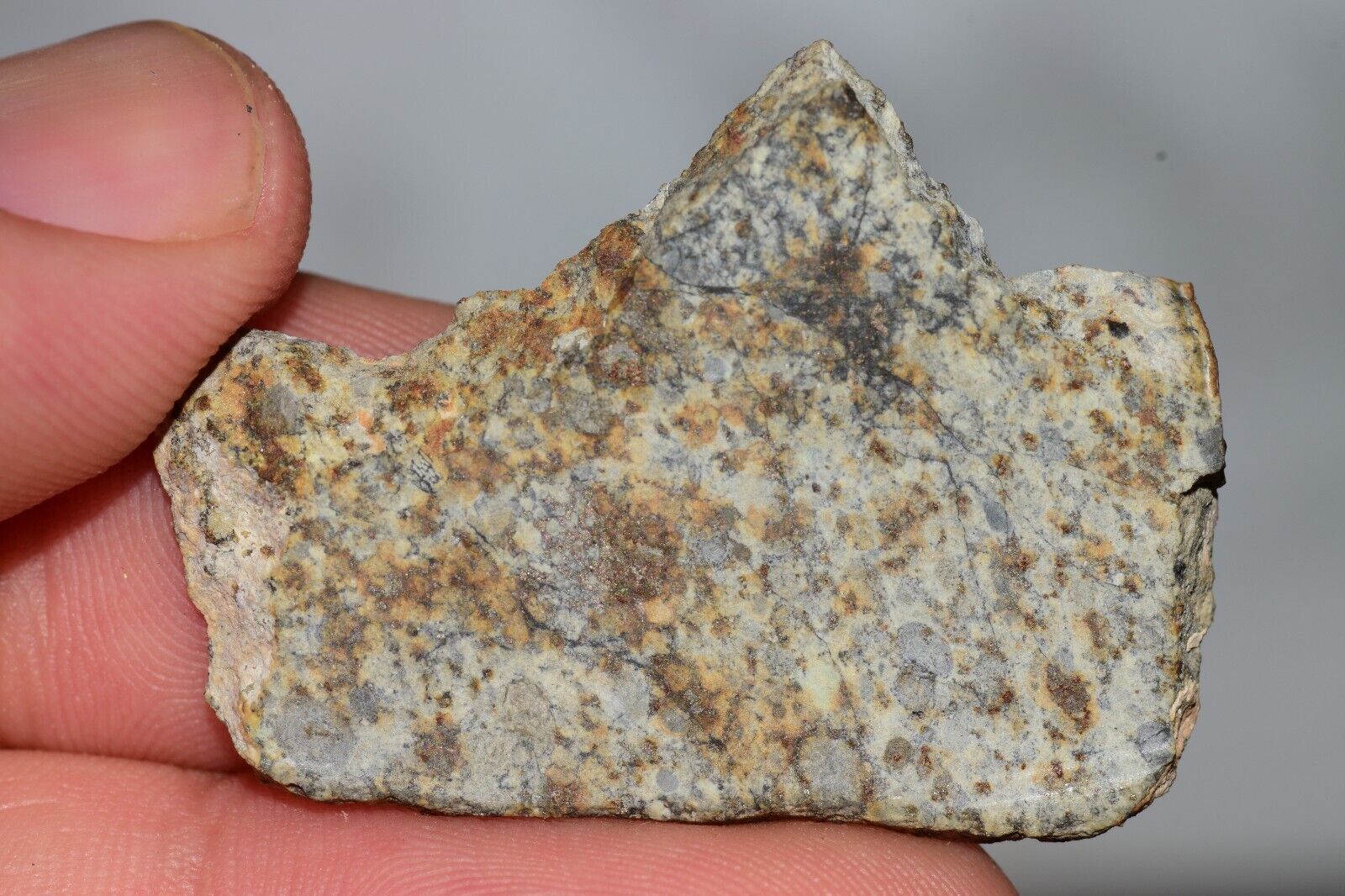 Meteorite Chondrite LL6 NWA 14225 Slice 7.14G with black shock melt veins. W COA - MeteoriteNwa.com