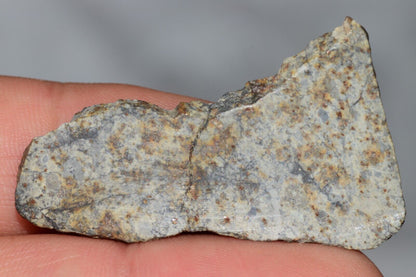 Meteorite Chondrite LL6 NWA 14225 Slice 7.11G with black shock melt veins. W COA - MeteoriteNwa.com