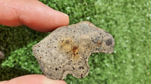 Meteorite Eucrite Breccia Achondrite HED NWA 15405 Endcut 31.5 Grams - MeteoriteNwa.com