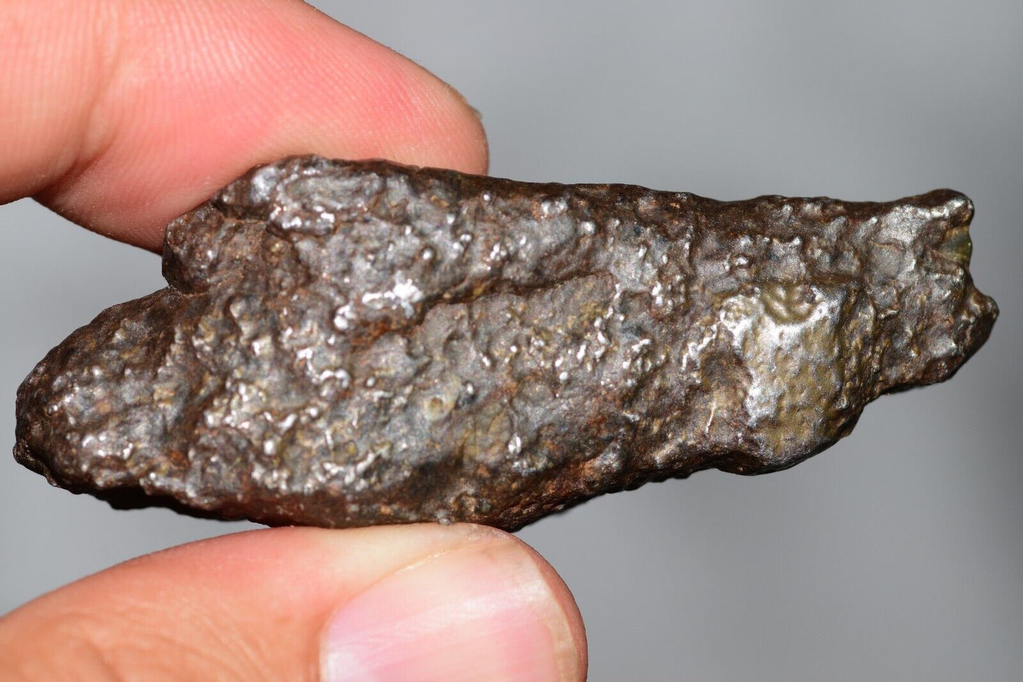 Meteorite Mesosiderite stony Iron NWA 14226 full fragment 42.9 grams WIth COA - MeteoriteNwa.com
