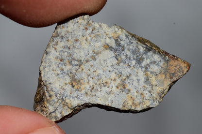 Meteorite Chondrite LL6 NWA 14225 Slice 3.28G with black shock melt veins. W COA - MeteoriteNwa.com