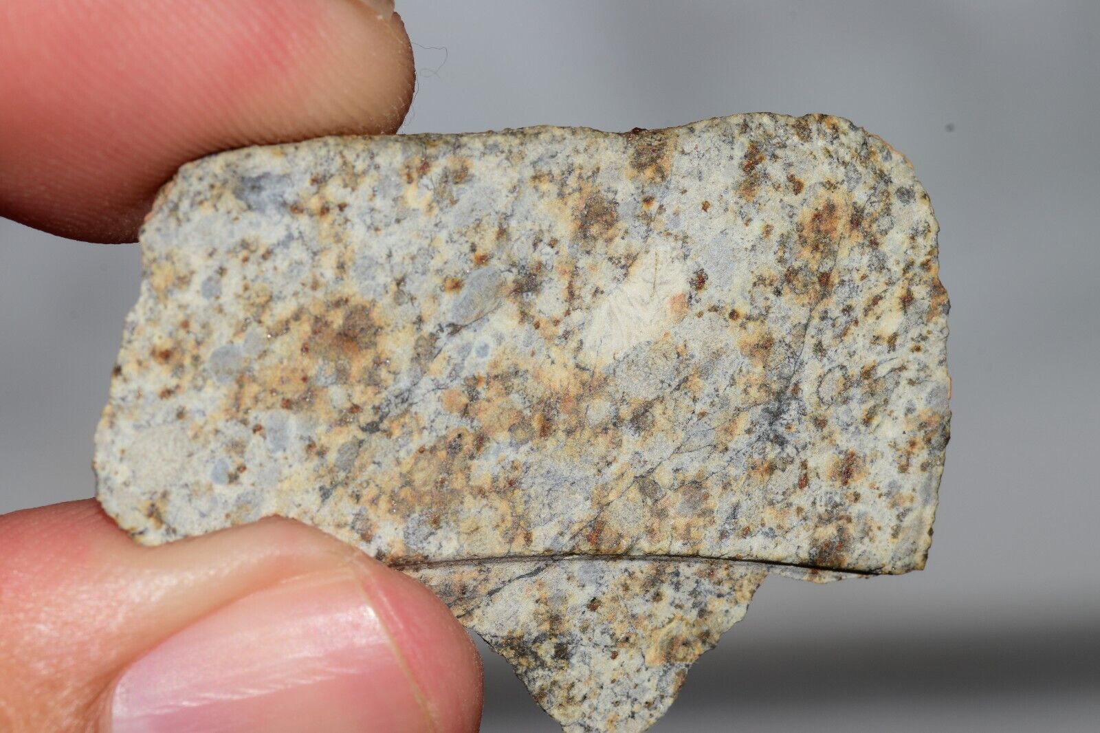 Meteorite Chondrite LL6 NWA 14225 Slice 7.14G with black shock melt veins. W COA - MeteoriteNwa.com
