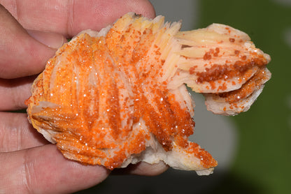 Vanadinite Mineral on Matrix Red Orange Genuine Crystals from Morocco Raw Druzy Natural Specimen Earth Chakra Grounding Gemstone - MeteoriteNwa.com