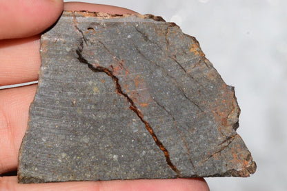 Meteorite Chondrite LL3 NWA 14224 Slice 29.7G with fine-grained dark gray matrix - MeteoriteNwa.com