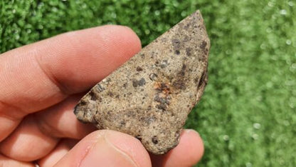 Meteorite Eucrite Breccia Achondrite HED NWA 15405 Endcut 31.5 Grams - MeteoriteNwa.com