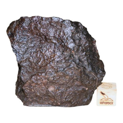 Rare Meteorite Chondrite L3 Melt Breccia NWA 14886 - Only 5 in the World - 80.8g - MeteoriteNwa.com