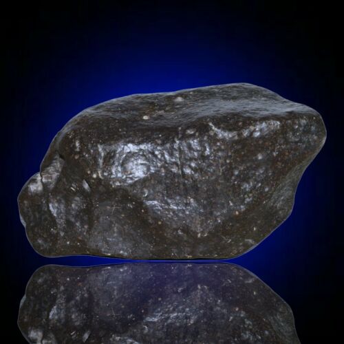 Meteorite chondrite Ordinary H4 NWA 14003 Complete fragment - 229.8g - MeteoriteNwa.com