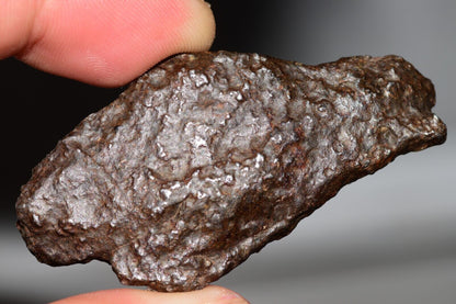 Meteorite Mesosiderite stony Iron NWA 14226 full fragment 42.9 grams WIth COA - MeteoriteNwa.com
