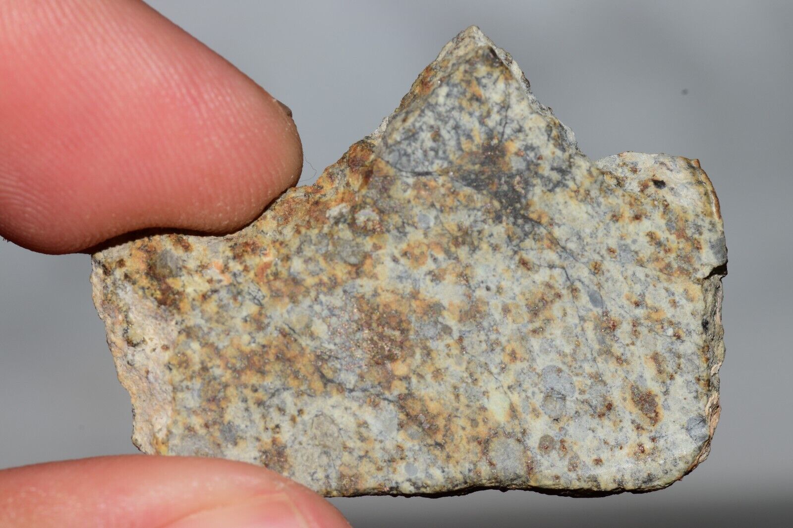 Meteorite Chondrite LL6 NWA 14225 Slice 7.14G with black shock melt veins. W COA - MeteoriteNwa.com