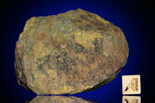 Meteorite Al haggounia 001 El Melt Rock full fragment 264 g COA included - MeteoriteNwa.com