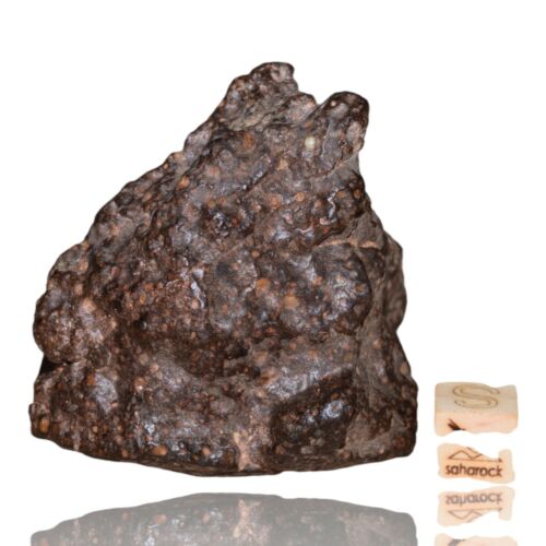 Meteorite CR2 Carbonaceous chondrite Rare NWA 14870 main mass 111.4 G Fragment! - MeteoriteNwa.com