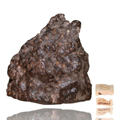 Meteorite CR2 Carbonaceous chondrite Rare NWA 14870 main mass 111.4 G Fragment! - MeteoriteNwa.com