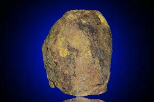 Meteorite Al haggounia 001 El Melt Rock full fragment 264 g COA included - MeteoriteNwa.com