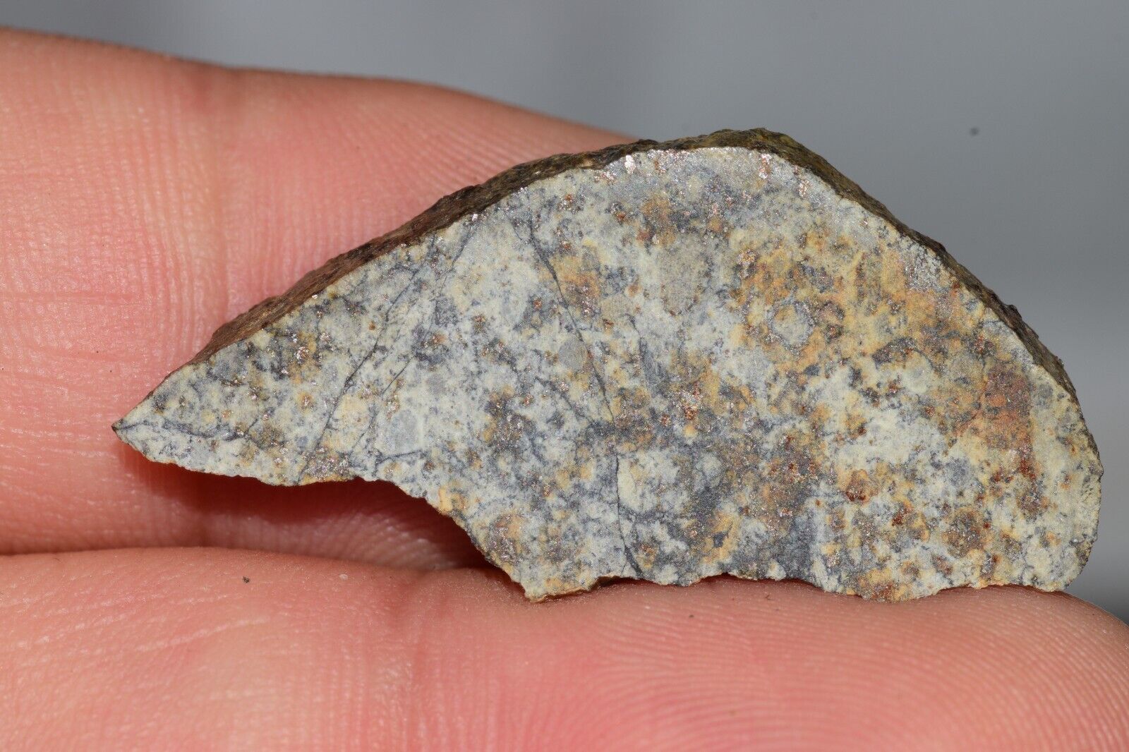 Meteorite Chondrite LL6 NWA 14225 Slice 3.87G with black shock melt veins. W COA - MeteoriteNwa.com