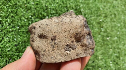 Meteorite Eucrite Breccia Achondrite HED NWA 15405 Main Mass 107 Grams - MeteoriteNwa.com