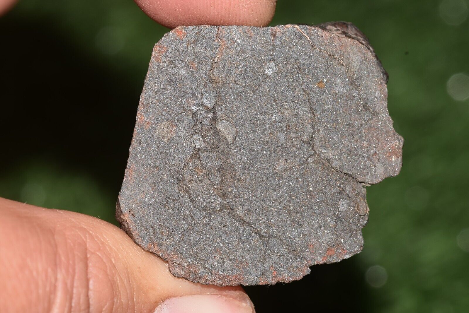 Meteorite chondrite Brownish L6 Nwa 15406 Main Mass 49 g - MeteoriteNwa.com