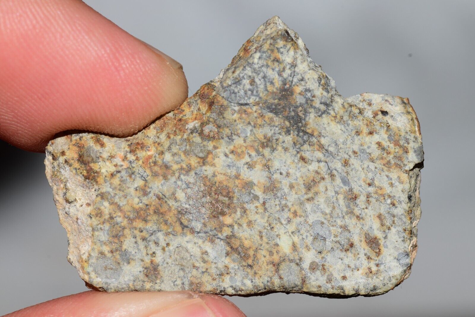 Meteorite Chondrite LL6 NWA 14225 Slice 7.14G with black shock melt veins. W COA - MeteoriteNwa.com