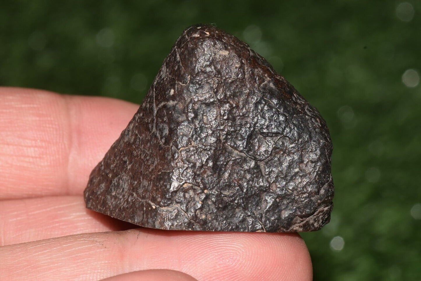 Meteorite chondrite Brownish L6 Nwa 15406 Main Mass 49 g - MeteoriteNwa.com