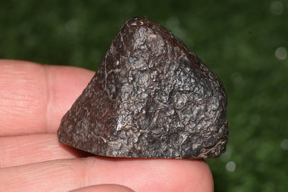 Meteorite chondrite Brownish L6 Nwa 15406 Main Mass 49 g - MeteoriteNwa.com
