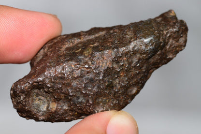 Meteorite Mesosiderite stony Iron NWA 14226 full fragment 42.9 grams WIth COA - MeteoriteNwa.com