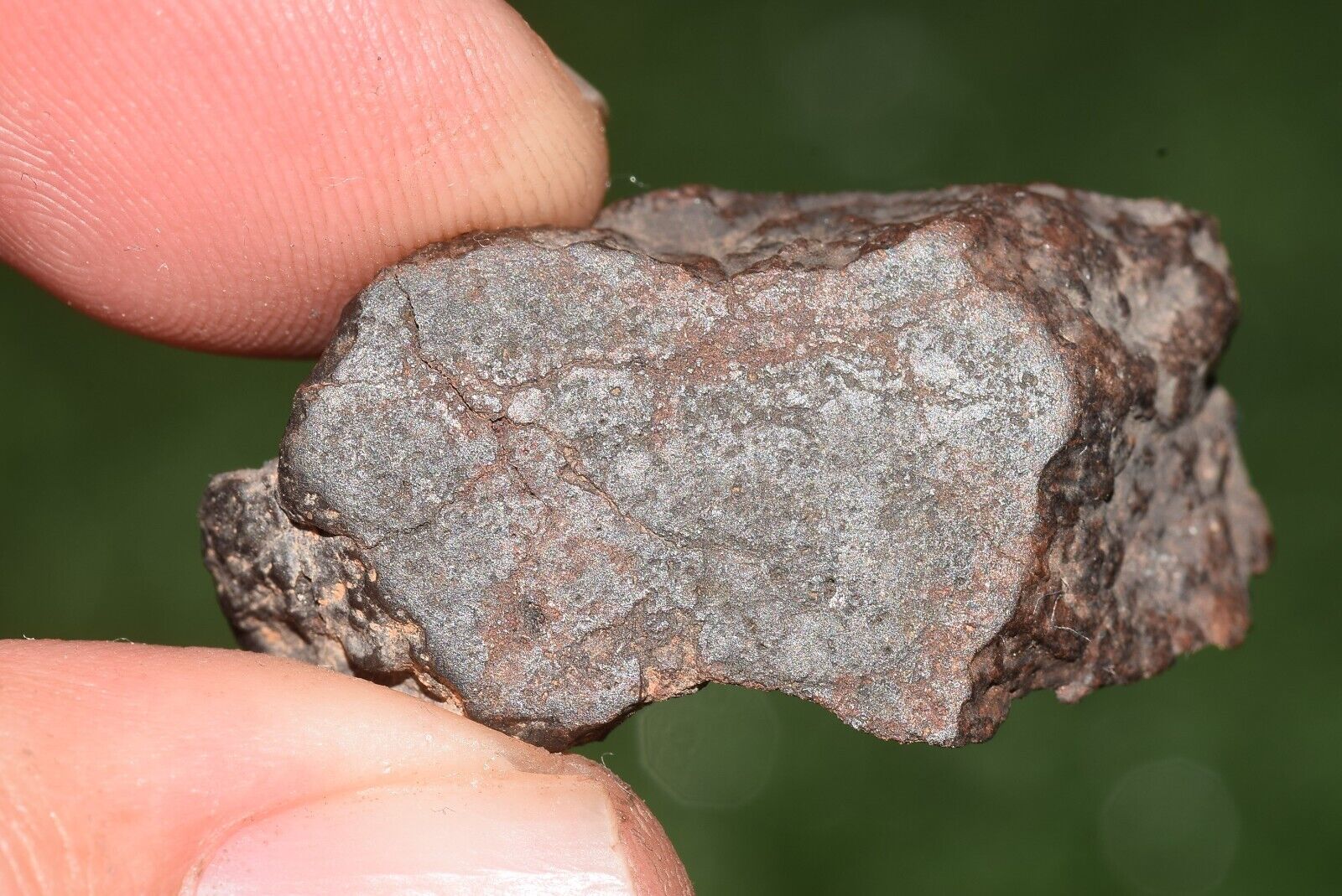 Meteorite chondrite Brownish L6 Nwa 15406 Endcut 10.5 g - MeteoriteNwa.com