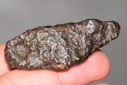 Meteorite Mesosiderite stony Iron NWA 14226 full fragment 42.9 grams WIth COA - MeteoriteNwa.com