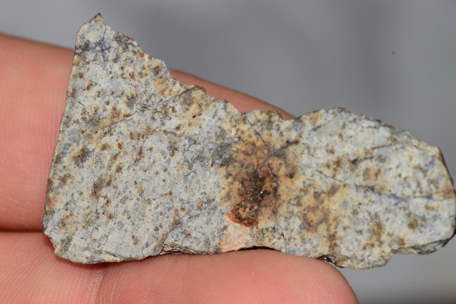 Meteorite Chondrite LL6 NWA 14225 Slice 7.11G with black shock melt veins. W COA - MeteoriteNwa.com