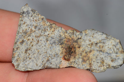 Meteorite Chondrite LL6 NWA 14225 Slice 7.11G with black shock melt veins. W COA - MeteoriteNwa.com