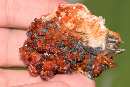 Vanadinite Mineral on Matrix Red Orange Genuine Crystals from Morocco Raw Druzy Natural Specimen Earth Chakra Grounding Gemstone - MeteoriteNwa.com