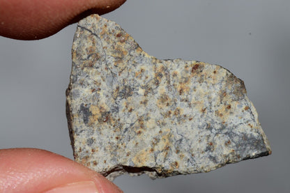Meteorite Chondrite LL6 NWA 14225 Slice 3.28G with black shock melt veins. W COA - MeteoriteNwa.com