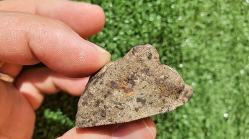Meteorite Eucrite Breccia Achondrite HED NWA 15405 Endcut 31.5 Grams - MeteoriteNwa.com