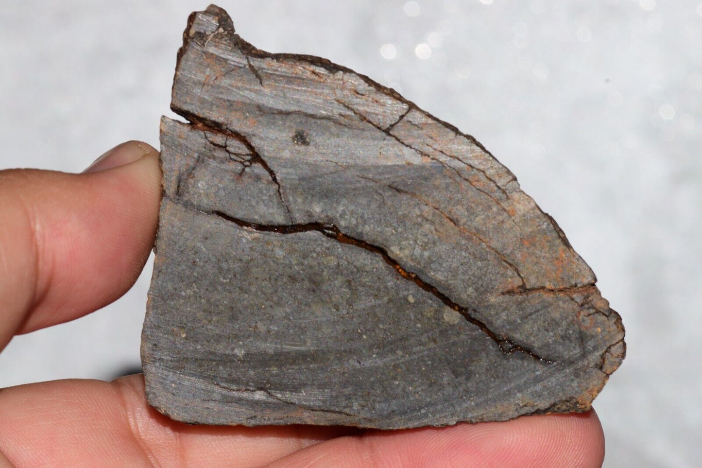 Meteorite Chondrite LL3 NWA 14224 Slice 89.2G with fine-grained dark gray matrix - MeteoriteNwa.com