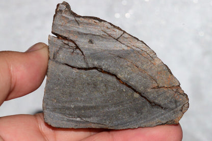 Meteorite Chondrite LL3 NWA 14224 Slice 89.2G with fine-grained dark gray matrix - MeteoriteNwa.com