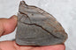 Meteorite Chondrite LL3 NWA 14224 Slice 89.2G with fine-grained dark gray matrix - MeteoriteNwa.com