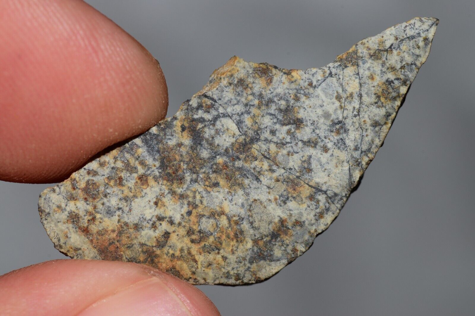 Meteorite Chondrite LL6 NWA 14225 Slice 3.87G with black shock melt veins. W COA - MeteoriteNwa.com